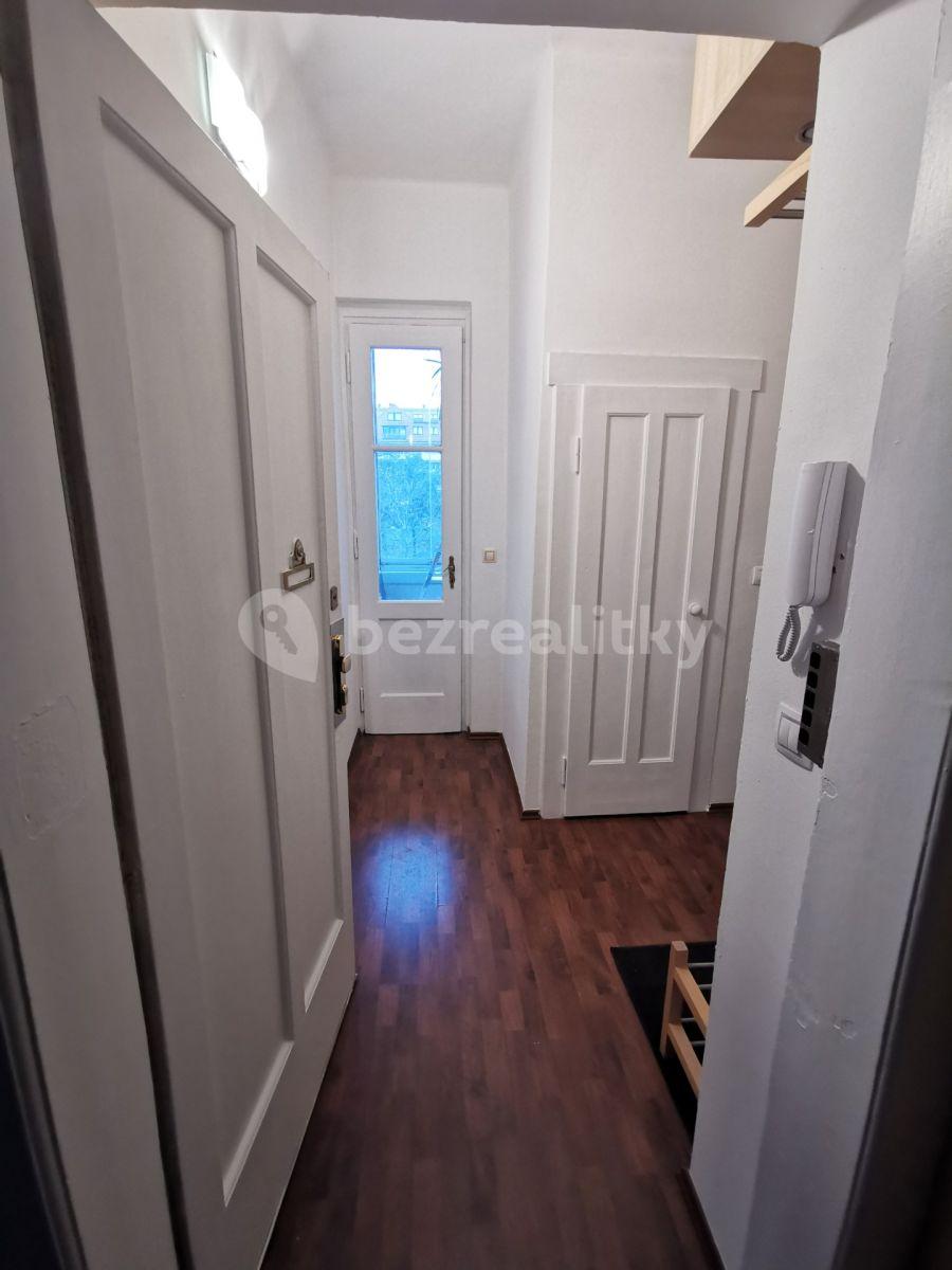 1 bedroom with open-plan kitchen flat to rent, 50 m², Hartigova, Prague, Prague