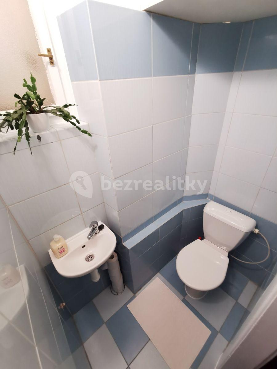 1 bedroom with open-plan kitchen flat to rent, 50 m², Hartigova, Prague, Prague