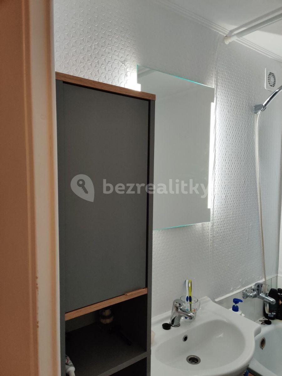 2 bedroom with open-plan kitchen flat to rent, 25 m², Květinková, Prague, Prague