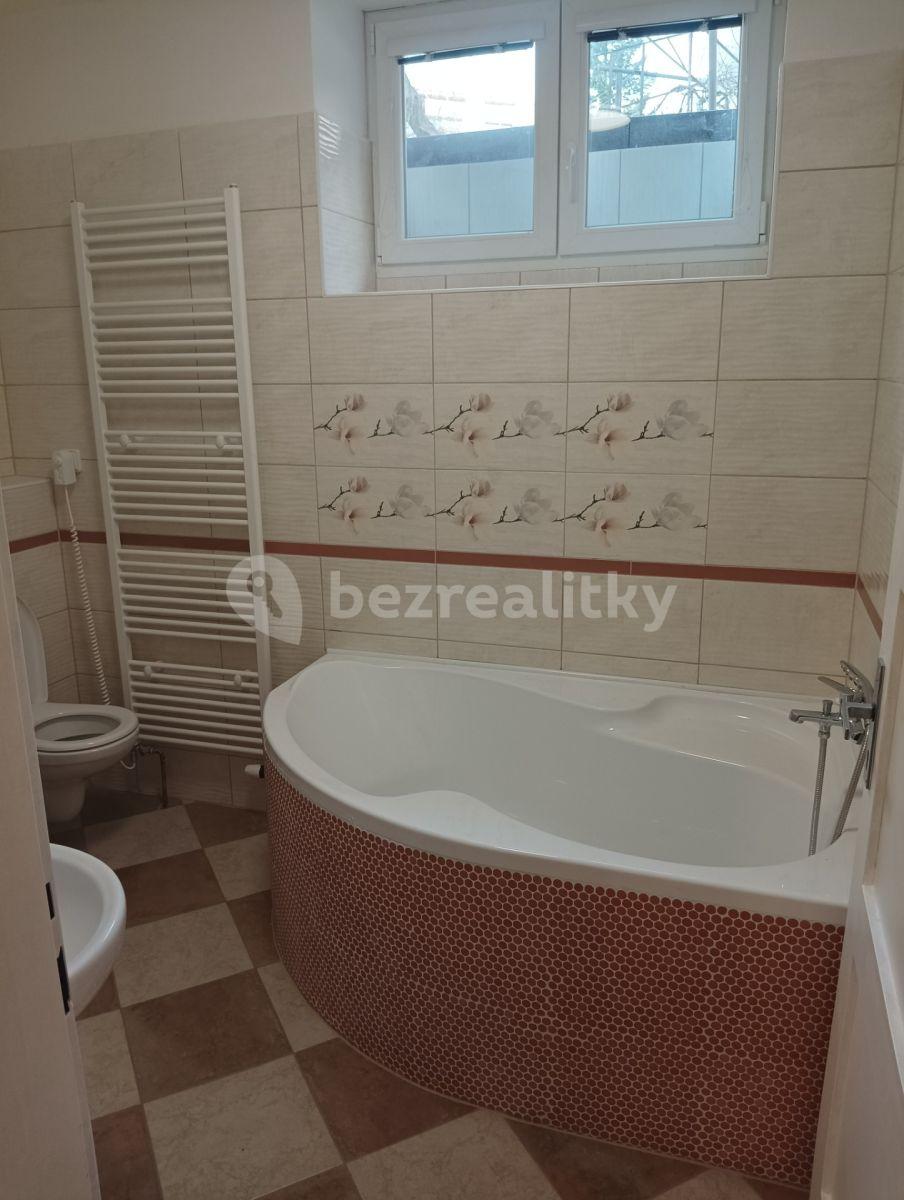 1 bedroom flat to rent, 48 m², Petra Bezruče, Prague, Prague