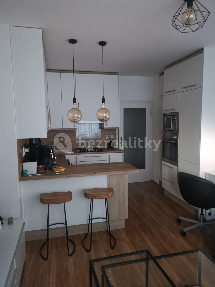 1 bedroom with open-plan kitchen flat to rent, 48 m², Patočkova, Prague, Prague