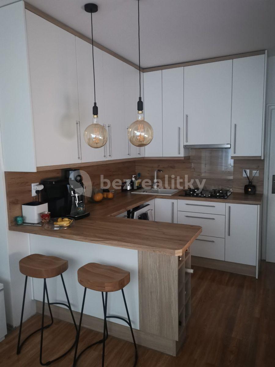 1 bedroom with open-plan kitchen flat to rent, 48 m², Patočkova, Prague, Prague