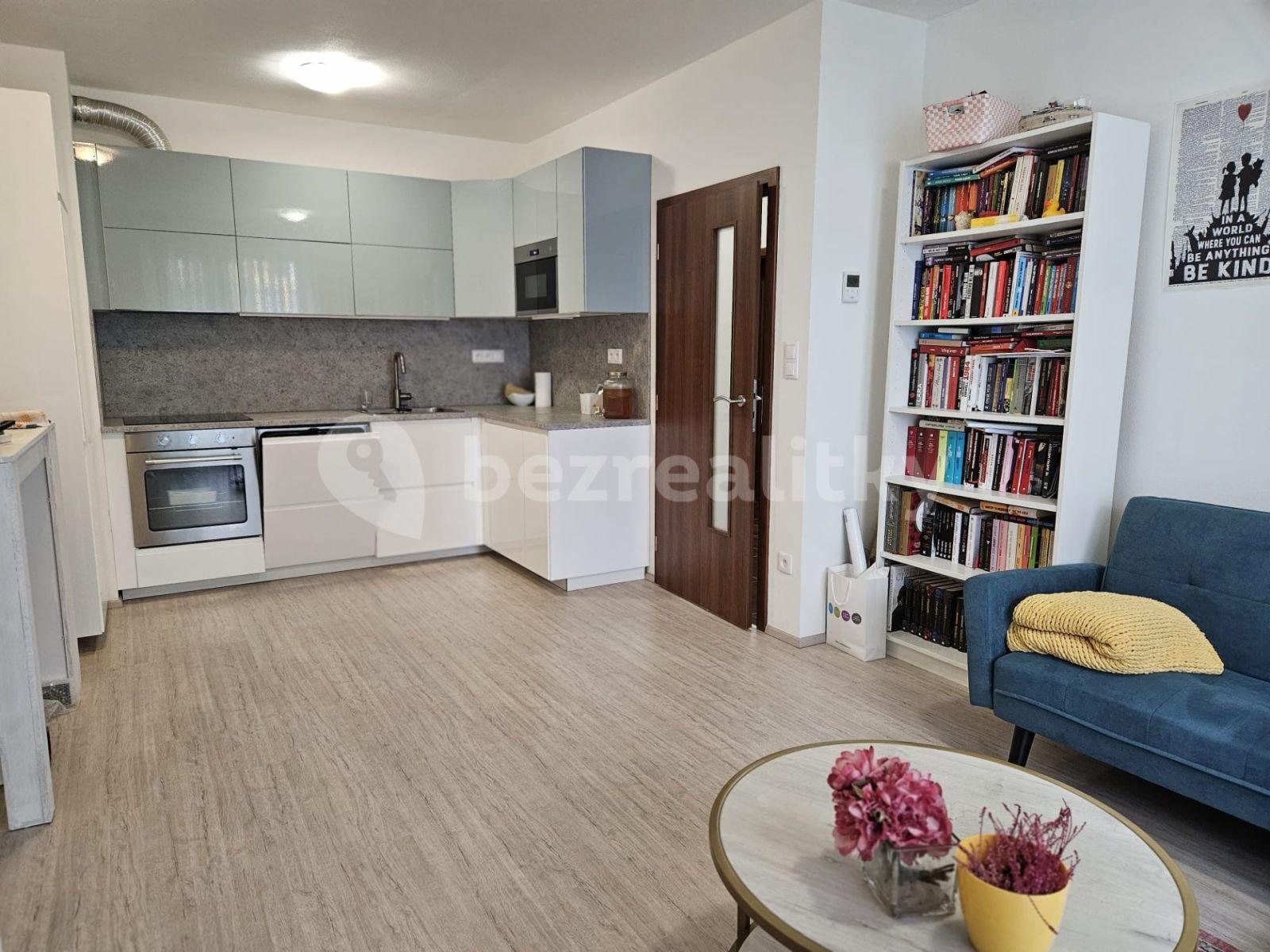 1 bedroom with open-plan kitchen flat to rent, 49 m², Hlinecká, Brno, Jihomoravský Region