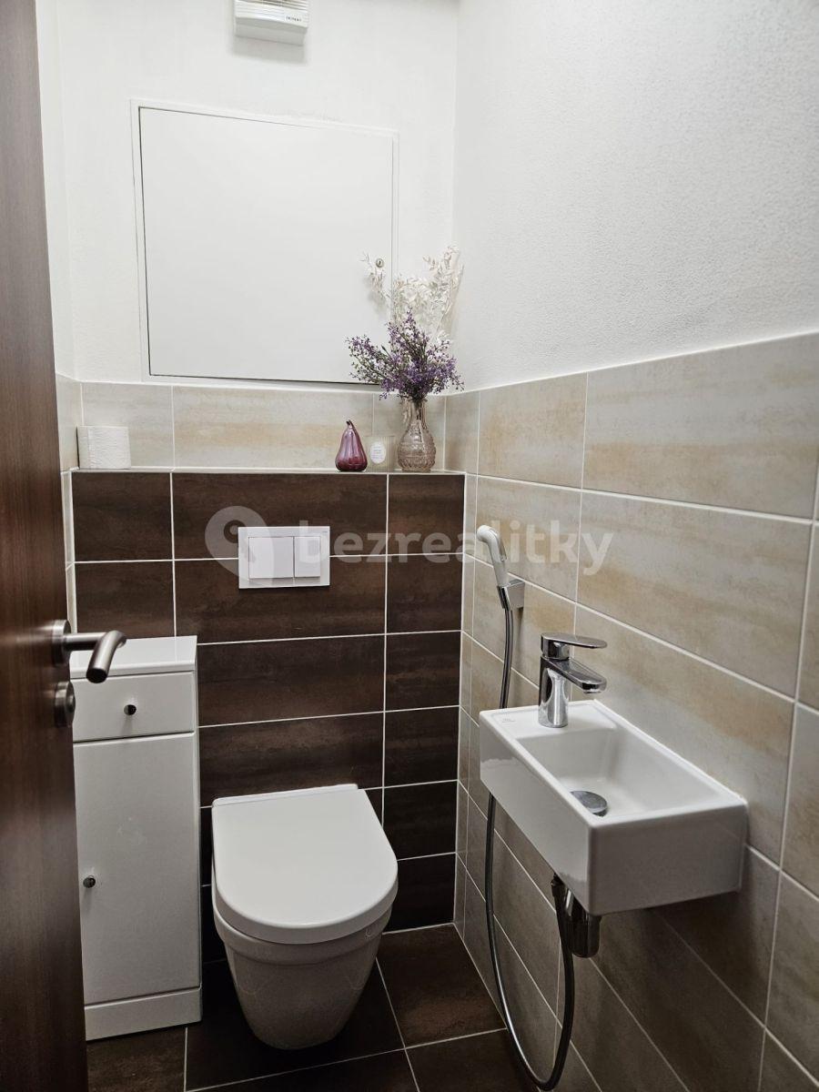 1 bedroom with open-plan kitchen flat to rent, 49 m², Hlinecká, Brno, Jihomoravský Region