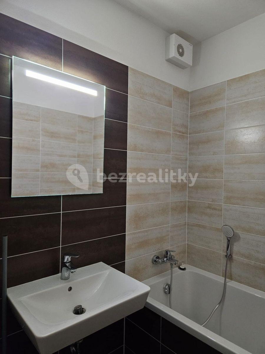 1 bedroom with open-plan kitchen flat to rent, 49 m², Hlinecká, Brno, Jihomoravský Region