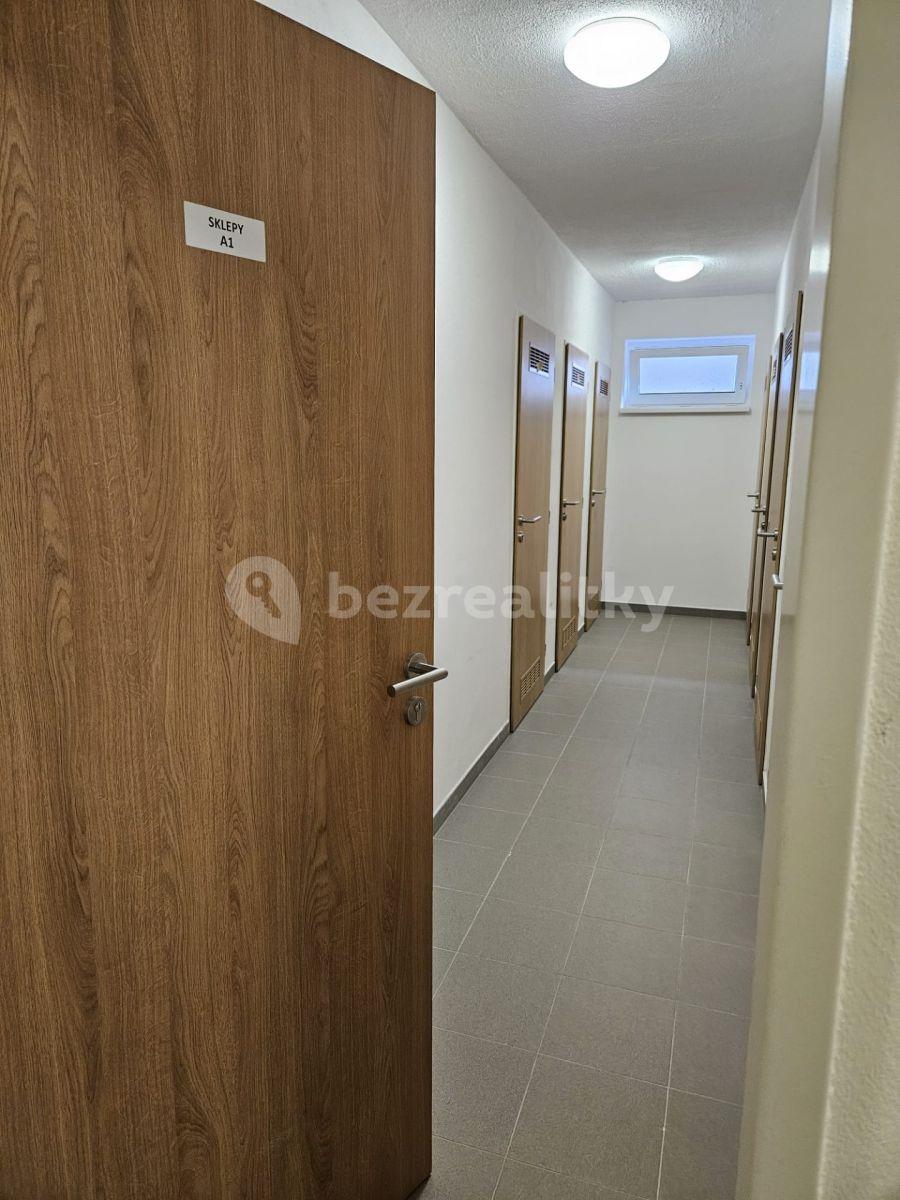 1 bedroom with open-plan kitchen flat to rent, 49 m², Hlinecká, Brno, Jihomoravský Region