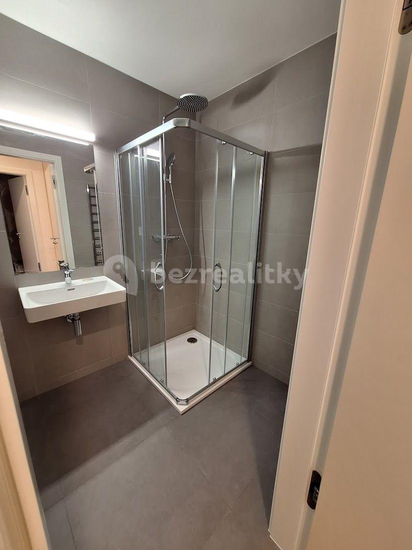 1 bedroom with open-plan kitchen flat to rent, 53 m², Armády, Prague, Prague