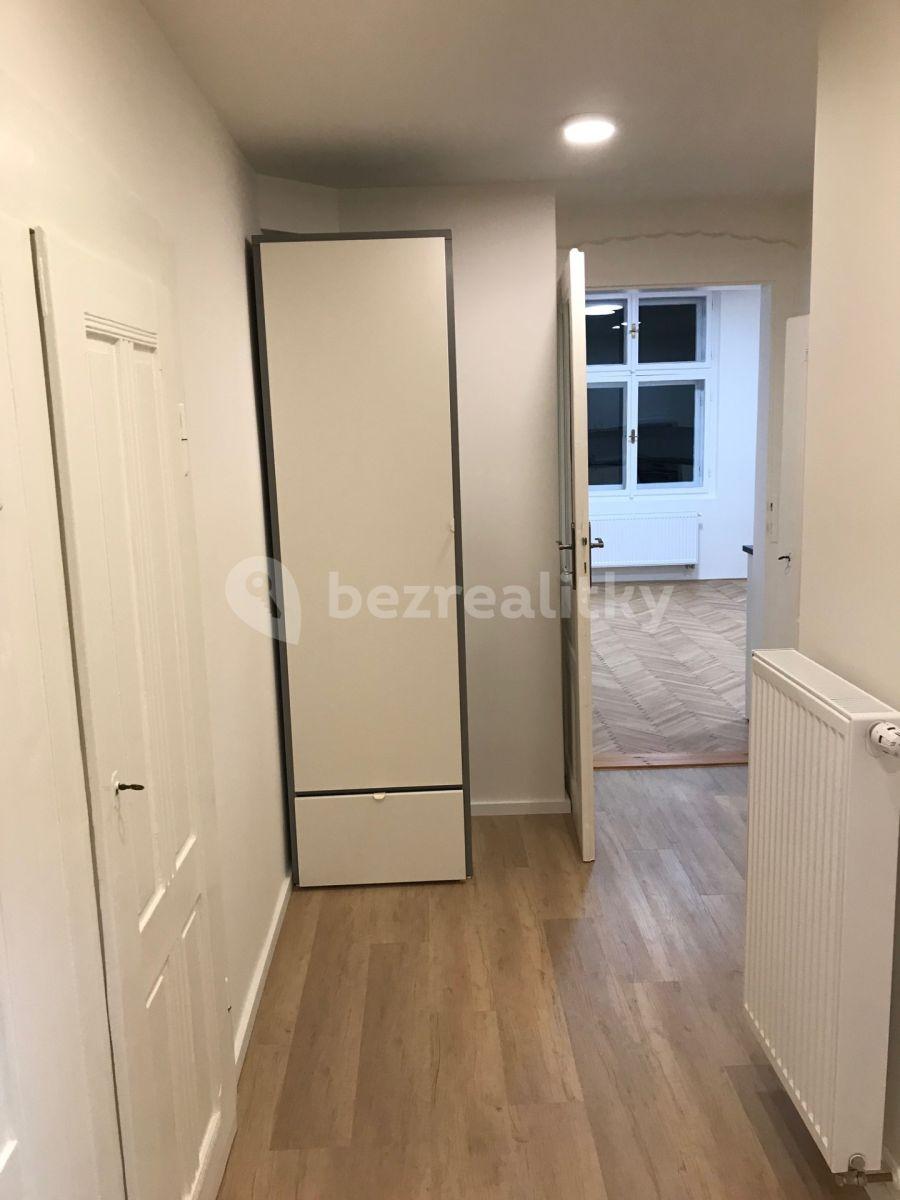 1 bedroom with open-plan kitchen flat to rent, 49 m², Mahenova, Prague, Prague