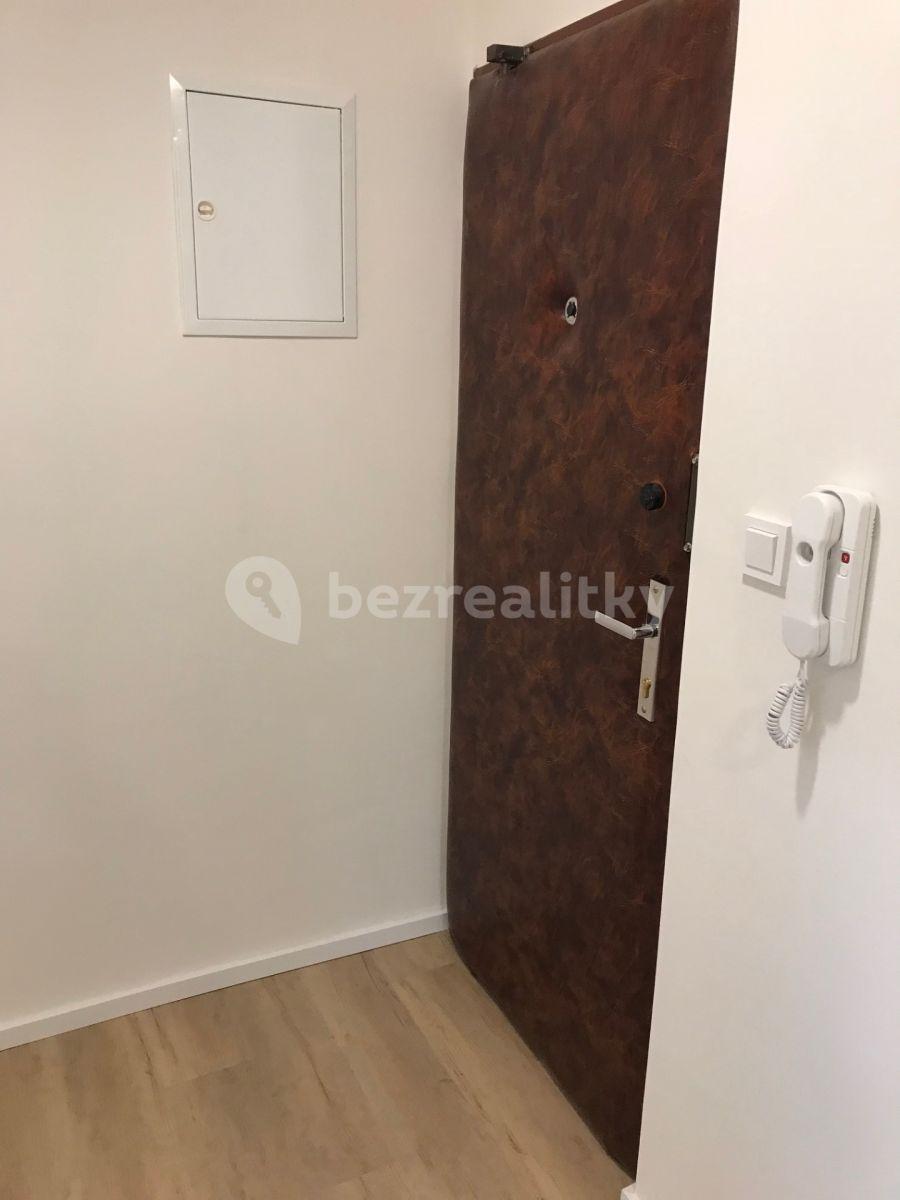 1 bedroom with open-plan kitchen flat to rent, 49 m², Mahenova, Prague, Prague