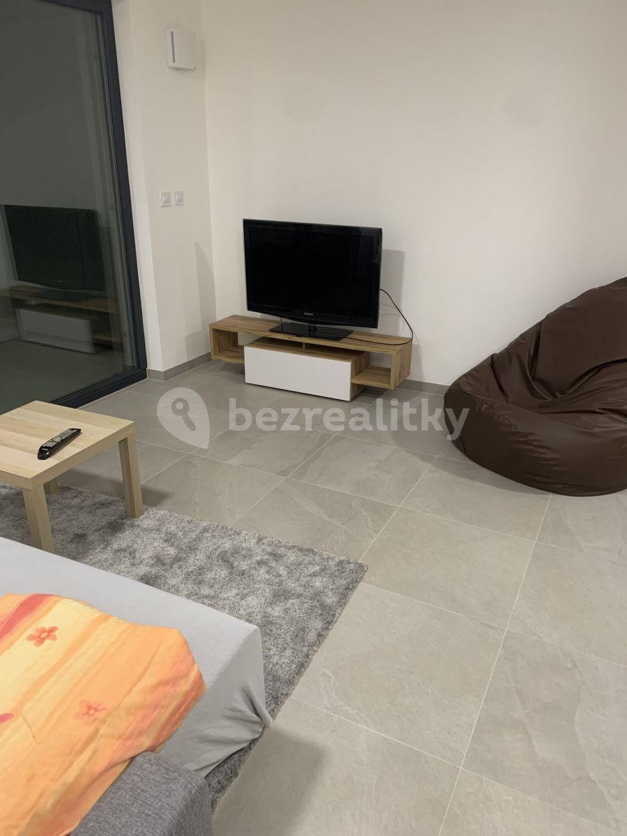 1 bedroom with open-plan kitchen flat to rent, 85 m², Bratislavská, Brno, Jihomoravský Region