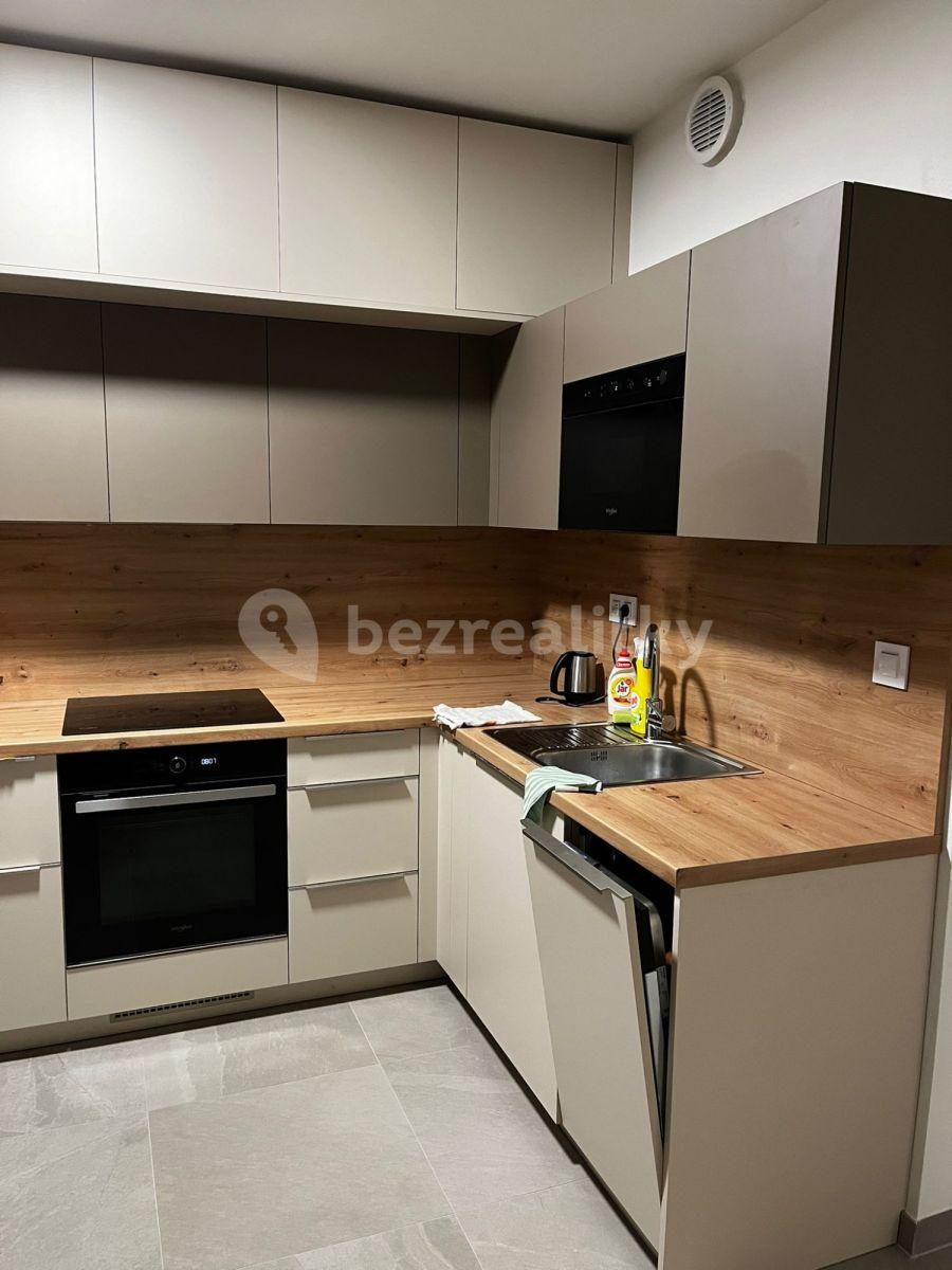 1 bedroom with open-plan kitchen flat to rent, 85 m², Bratislavská, Brno, Jihomoravský Region