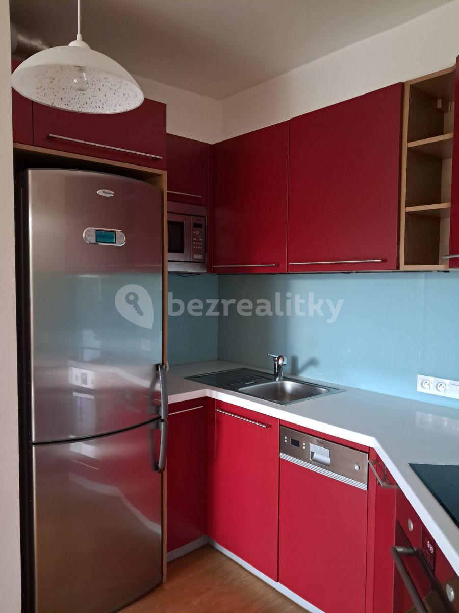 1 bedroom with open-plan kitchen flat to rent, 47 m², Nademlejnská, Prague, Prague