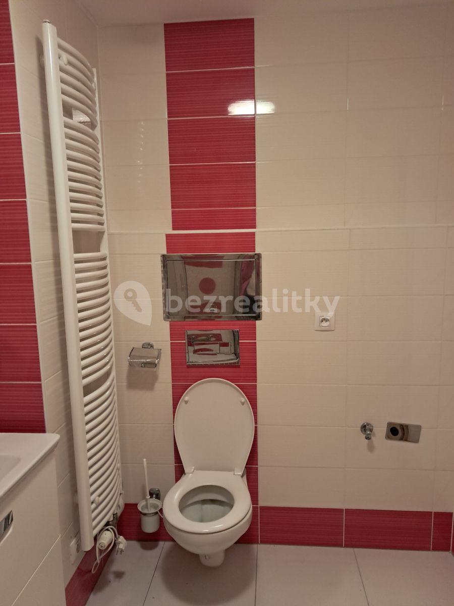 1 bedroom with open-plan kitchen flat to rent, 47 m², Nademlejnská, Prague, Prague