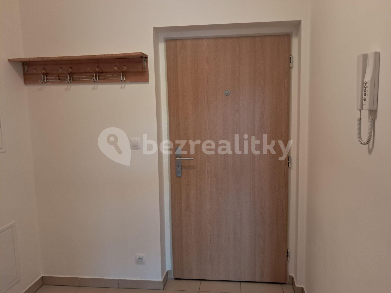 1 bedroom with open-plan kitchen flat to rent, 47 m², Nademlejnská, Prague, Prague