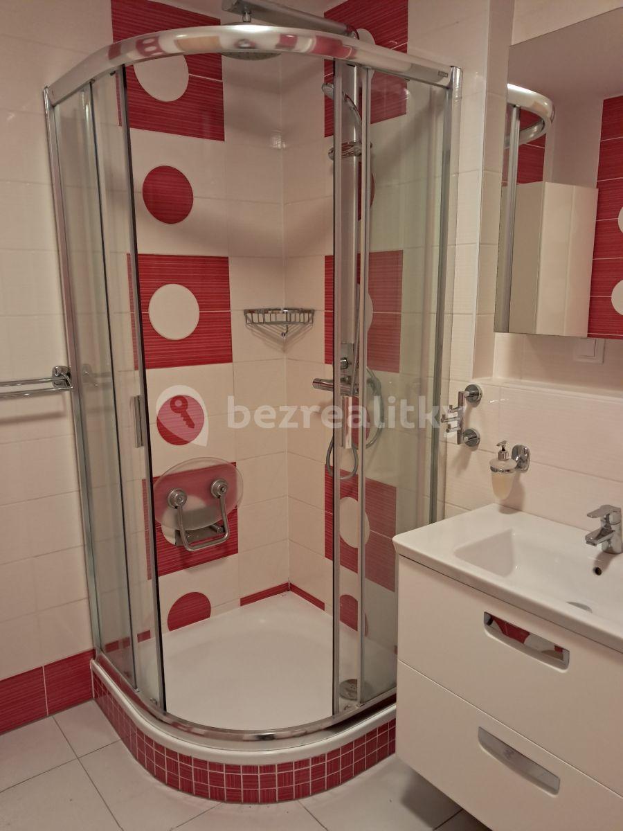 1 bedroom with open-plan kitchen flat to rent, 47 m², Nademlejnská, Prague, Prague