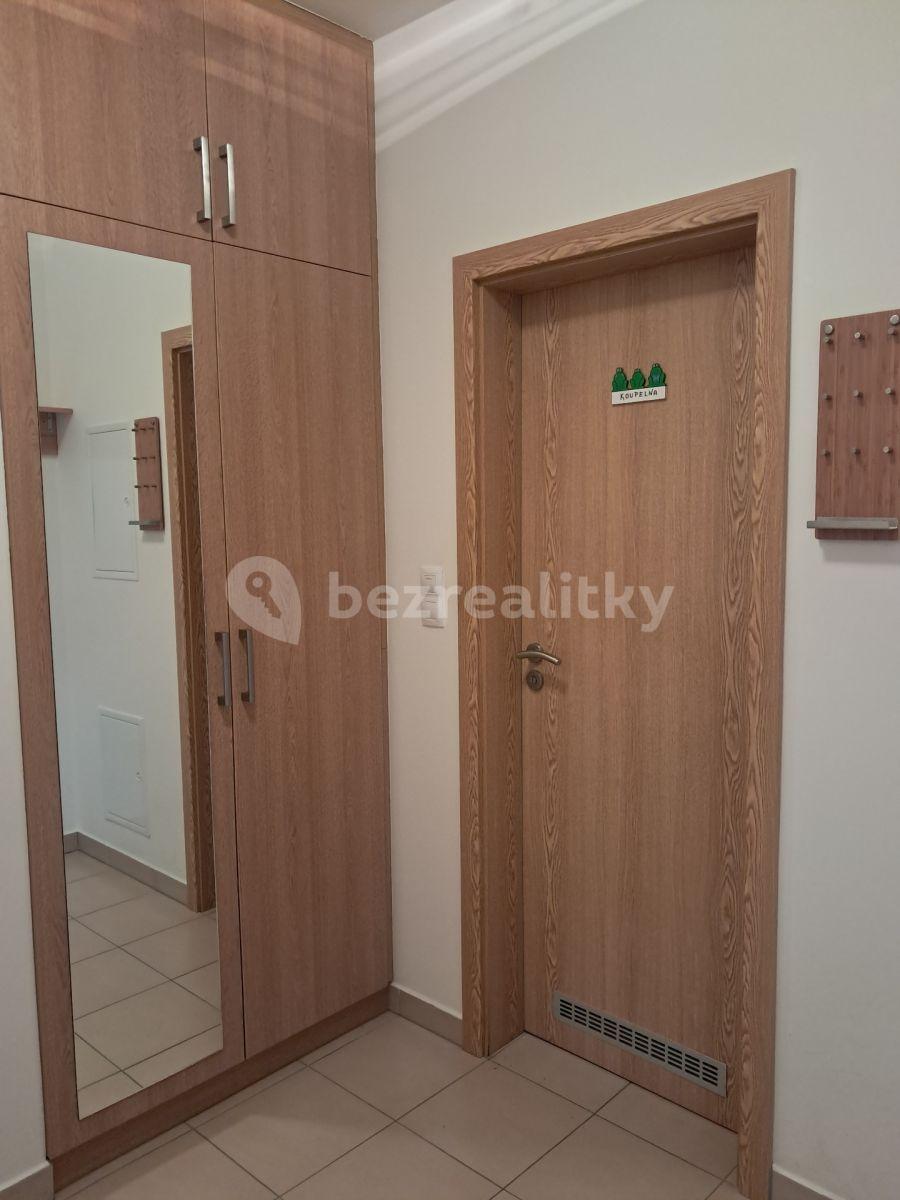 1 bedroom with open-plan kitchen flat to rent, 47 m², Nademlejnská, Prague, Prague