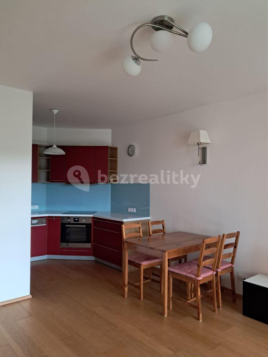 1 bedroom with open-plan kitchen flat to rent, 47 m², Nademlejnská, Prague, Prague