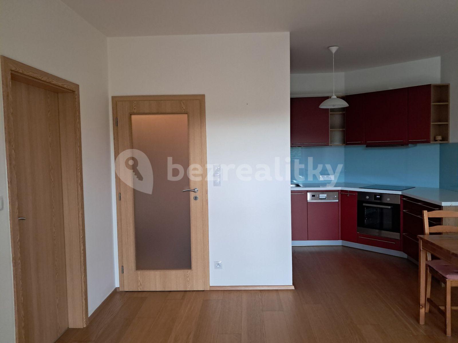 1 bedroom with open-plan kitchen flat to rent, 47 m², Nademlejnská, Prague, Prague