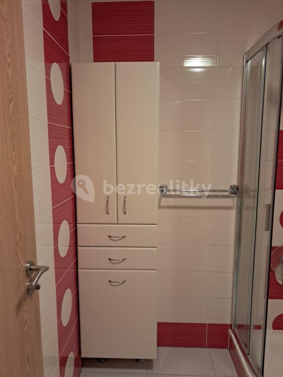 1 bedroom with open-plan kitchen flat to rent, 47 m², Nademlejnská, Prague, Prague