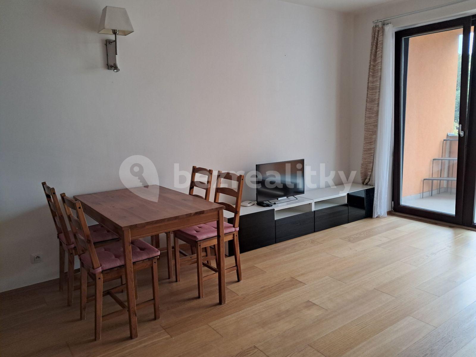 1 bedroom with open-plan kitchen flat to rent, 47 m², Nademlejnská, Prague, Prague