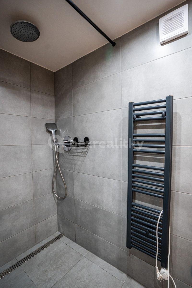 Small studio flat to rent, 26 m², Přemyslovská, Prague, Prague