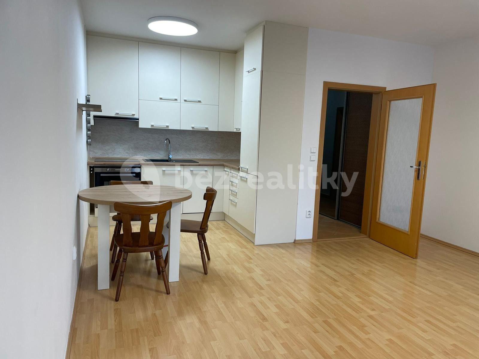 1 bedroom with open-plan kitchen flat to rent, 60 m², Názovská, Prague, Prague