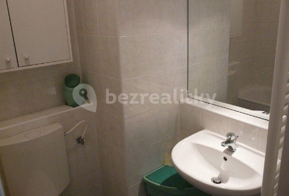 1 bedroom with open-plan kitchen flat to rent, 45 m², Hnězdenská, Prague, Prague