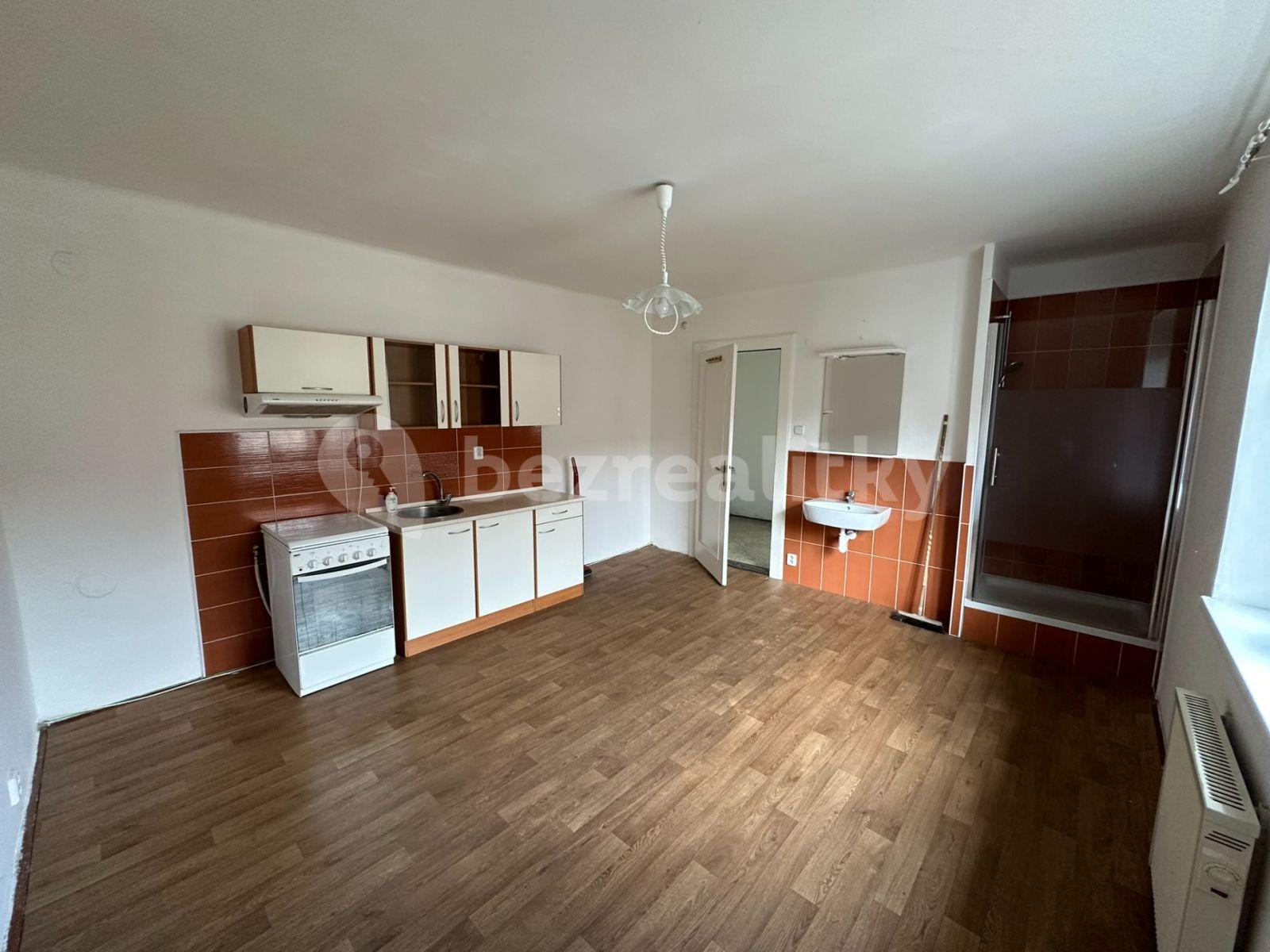 1 bedroom with open-plan kitchen flat to rent, 43 m², Mlýnská, Liberec, Liberecký Region