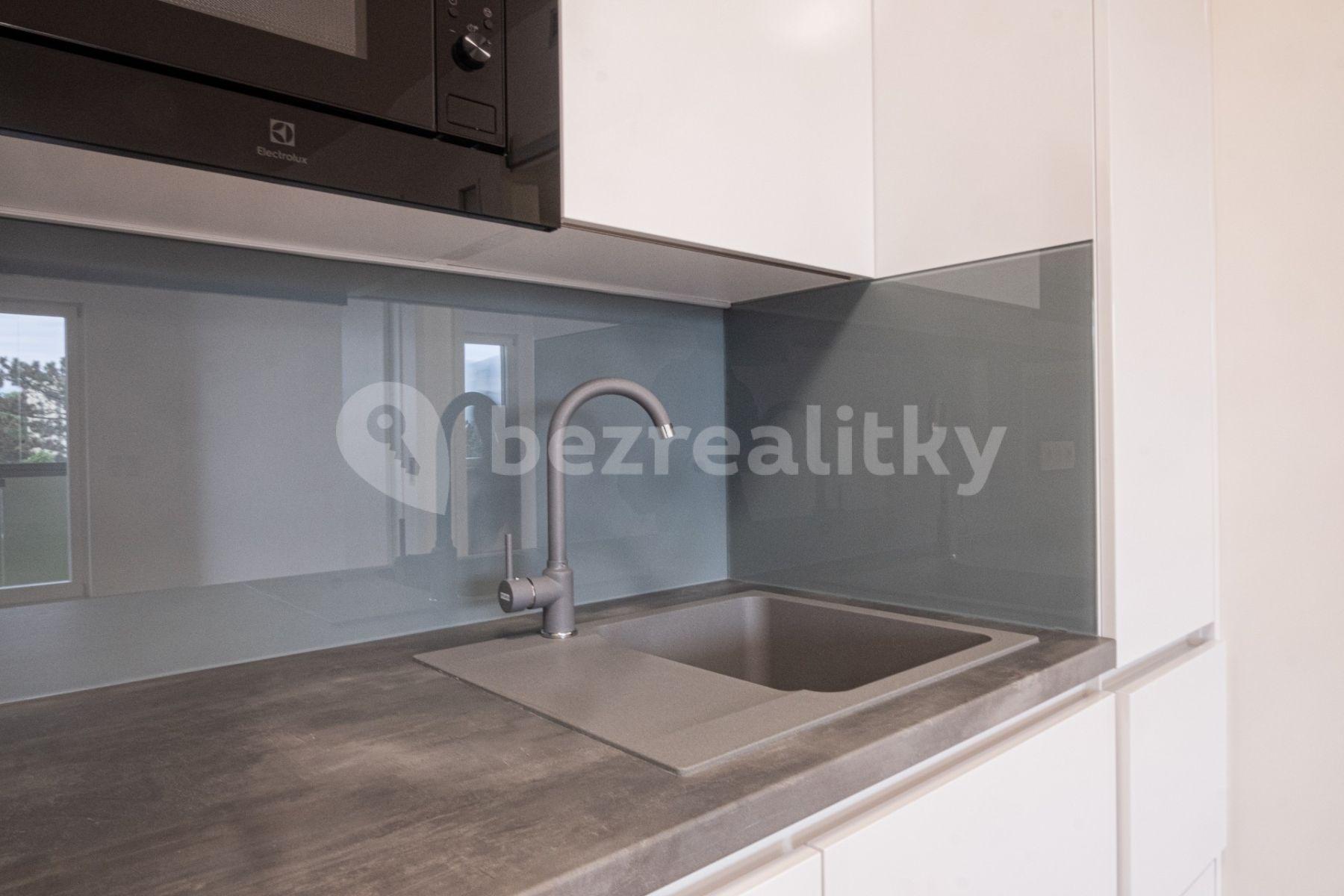 1 bedroom with open-plan kitchen flat to rent, 55 m², Za Strašnickou vozovnou, Prague, Prague