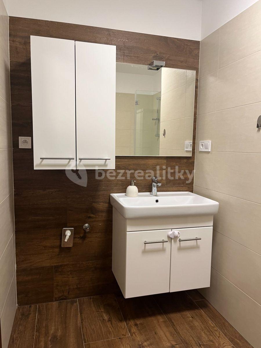 2 bedroom with open-plan kitchen flat to rent, 67 m², Ke Kateřinkám, Prague, Prague