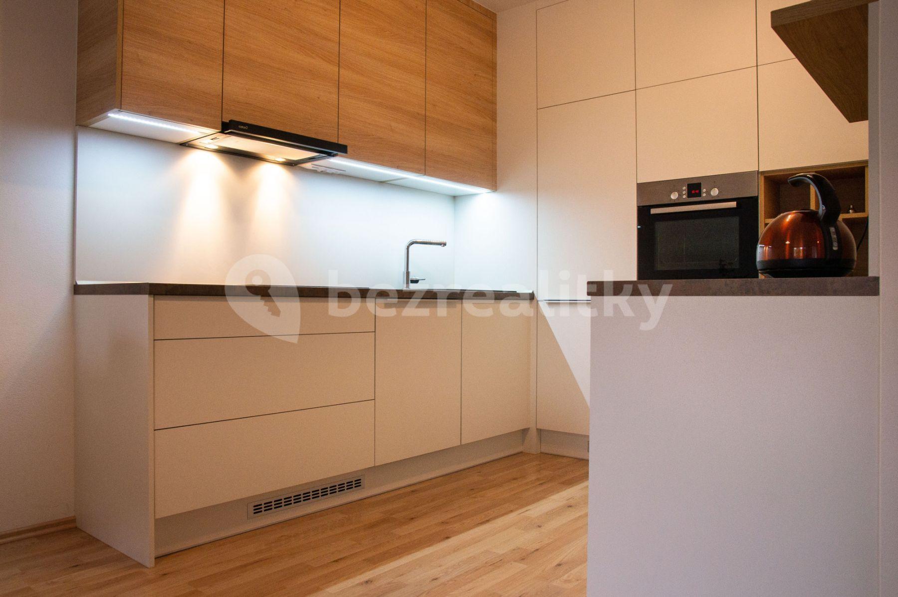 1 bedroom with open-plan kitchen flat to rent, 61 m², Řípská, Brno, Jihomoravský Region