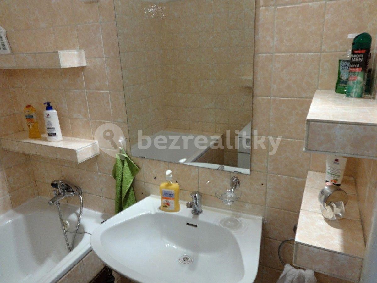 1 bedroom with open-plan kitchen flat to rent, 50 m², U Krbu, Prague, Prague