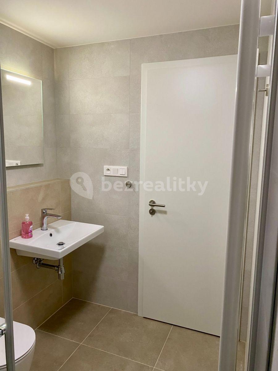 Studio flat to rent, 30 m², U Židovského hřbitova, Beroun, Středočeský Region