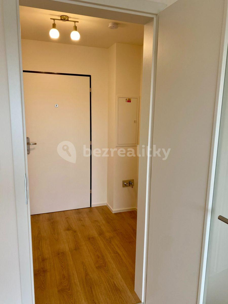 Studio flat to rent, 30 m², U Židovského hřbitova, Beroun, Středočeský Region