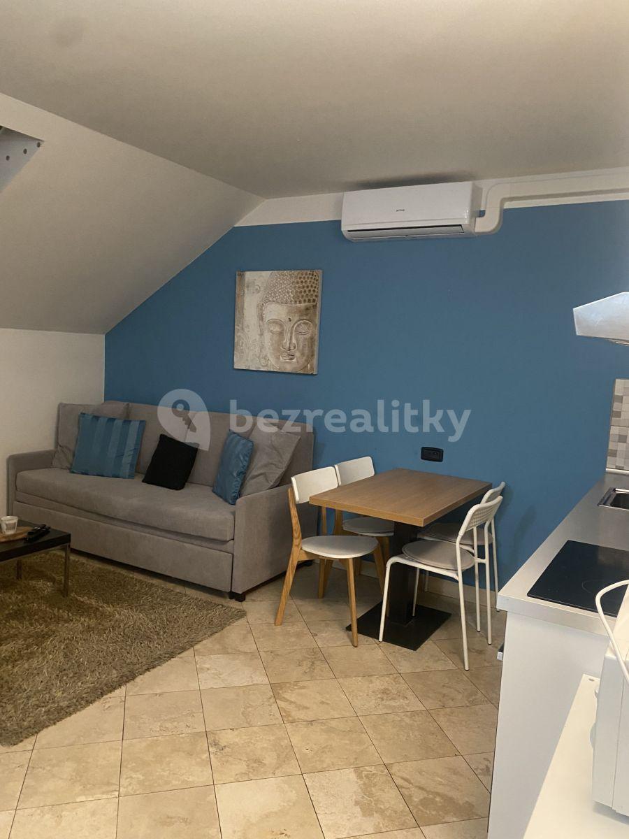 Studio flat to rent, 35 m², Legerova, Prague, Prague