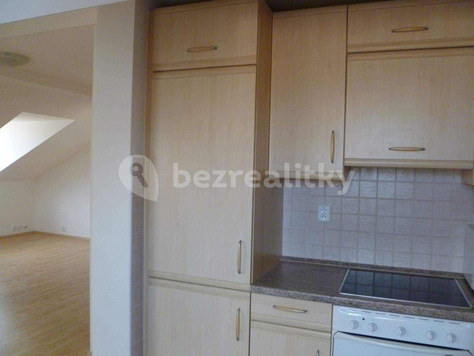 1 bedroom with open-plan kitchen flat to rent, 65 m², Rumunská, Prague, Prague