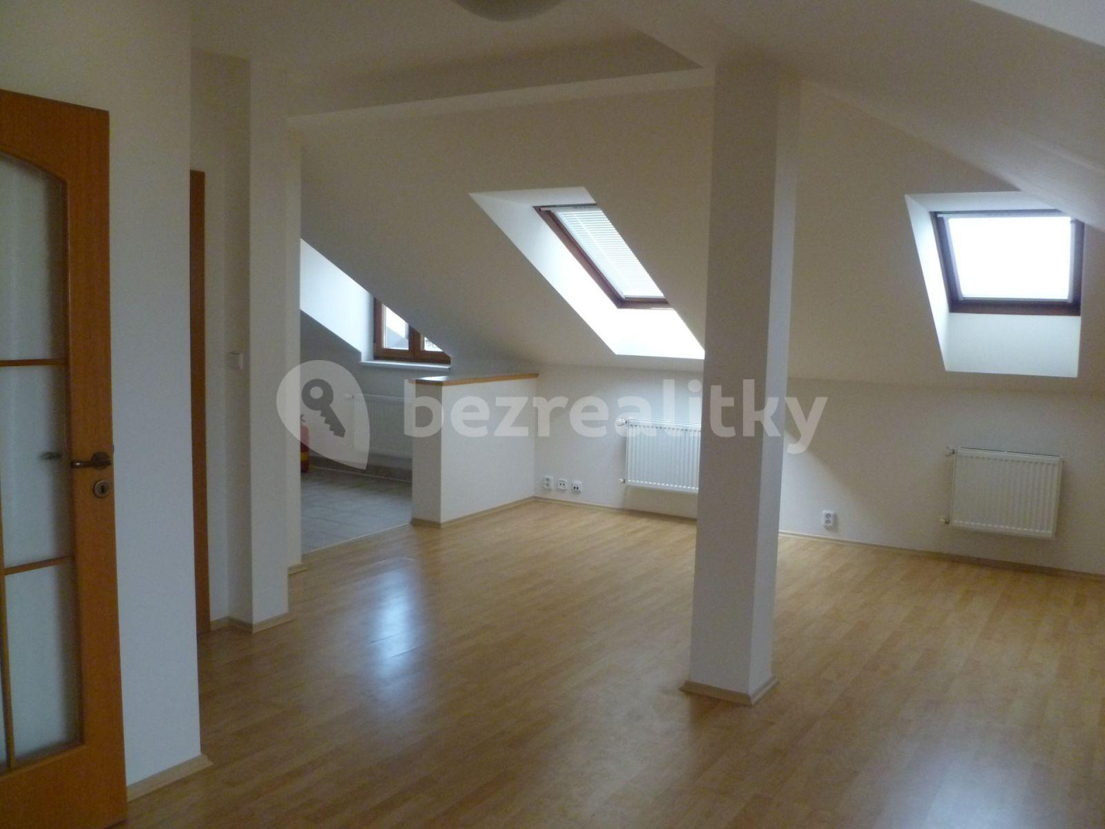 1 bedroom with open-plan kitchen flat to rent, 65 m², Rumunská, Prague, Prague