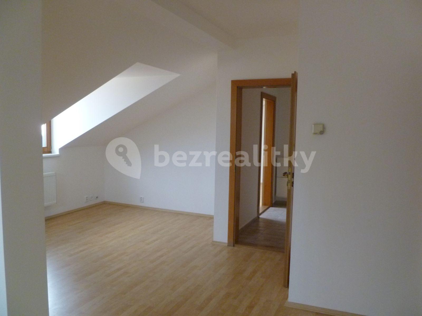 1 bedroom with open-plan kitchen flat to rent, 65 m², Rumunská, Prague, Prague