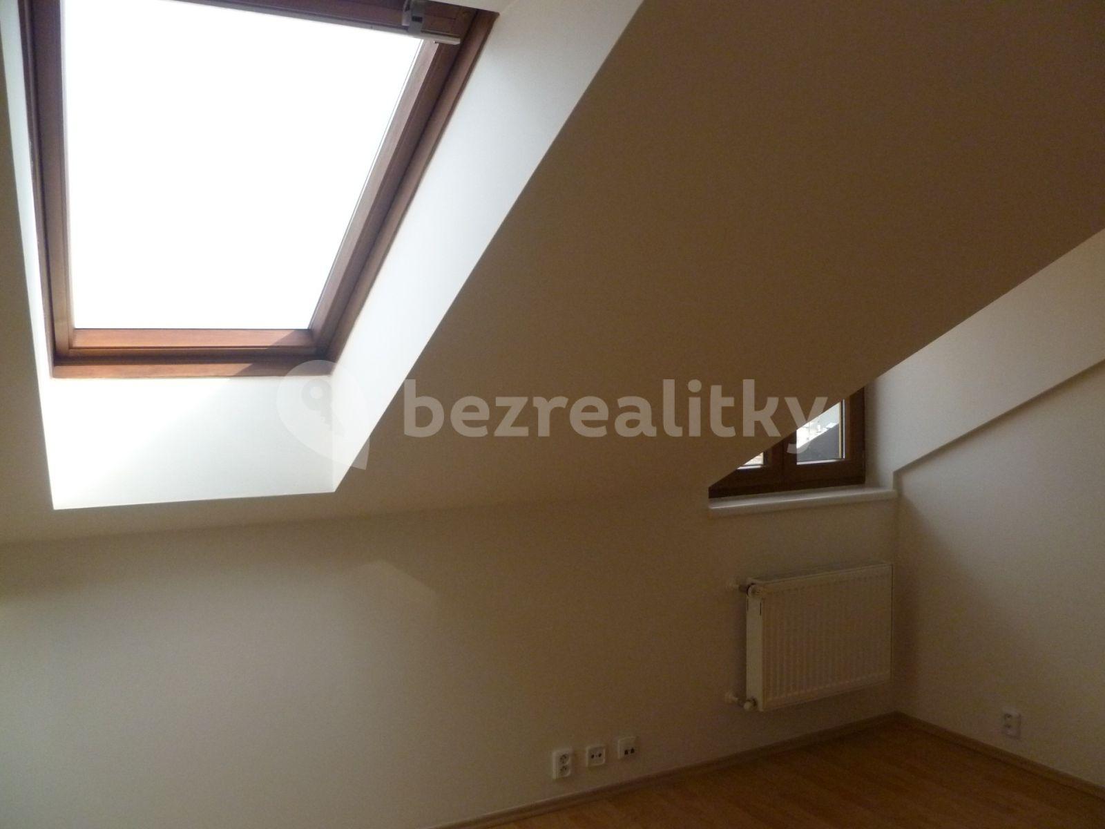 1 bedroom with open-plan kitchen flat to rent, 65 m², Rumunská, Prague, Prague