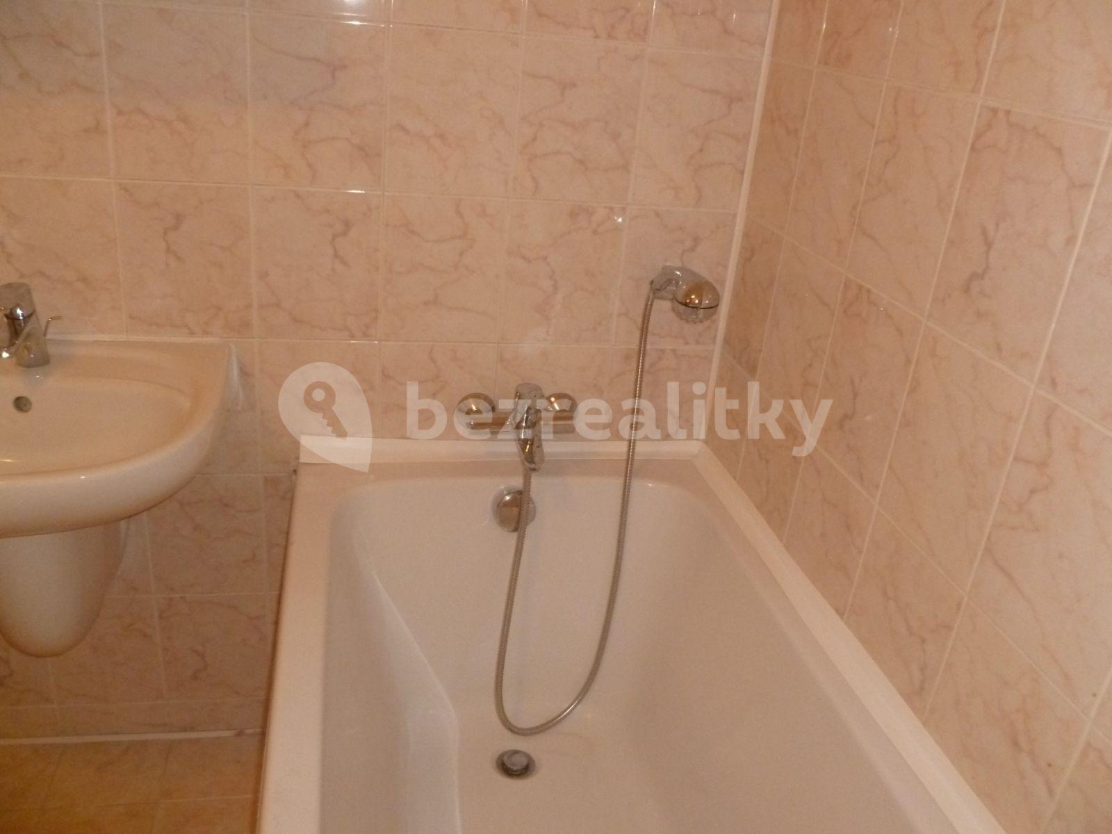 1 bedroom with open-plan kitchen flat to rent, 65 m², Rumunská, Prague, Prague