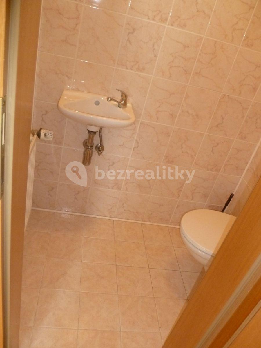 1 bedroom with open-plan kitchen flat to rent, 65 m², Rumunská, Prague, Prague