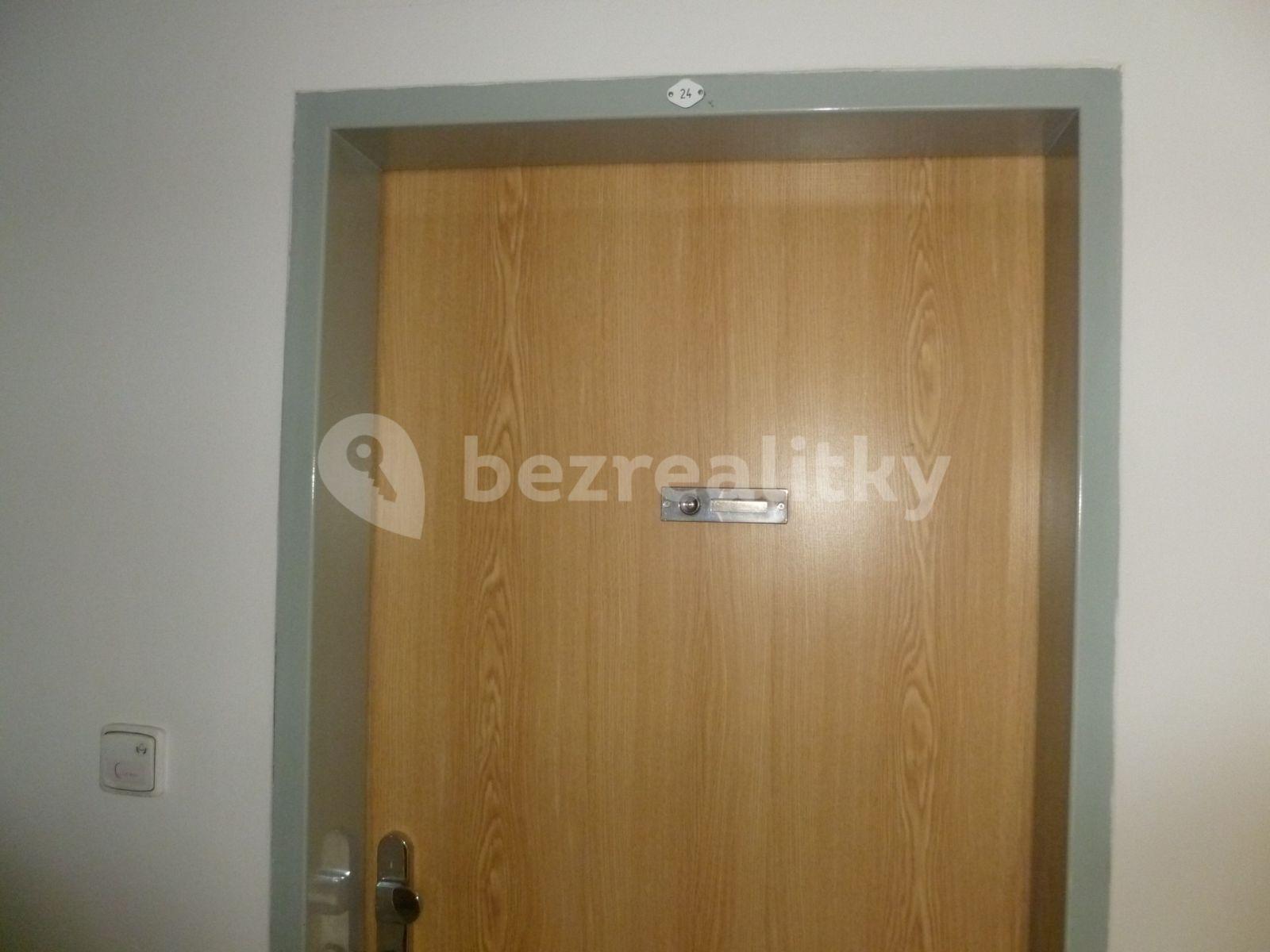 1 bedroom with open-plan kitchen flat to rent, 65 m², Rumunská, Prague, Prague