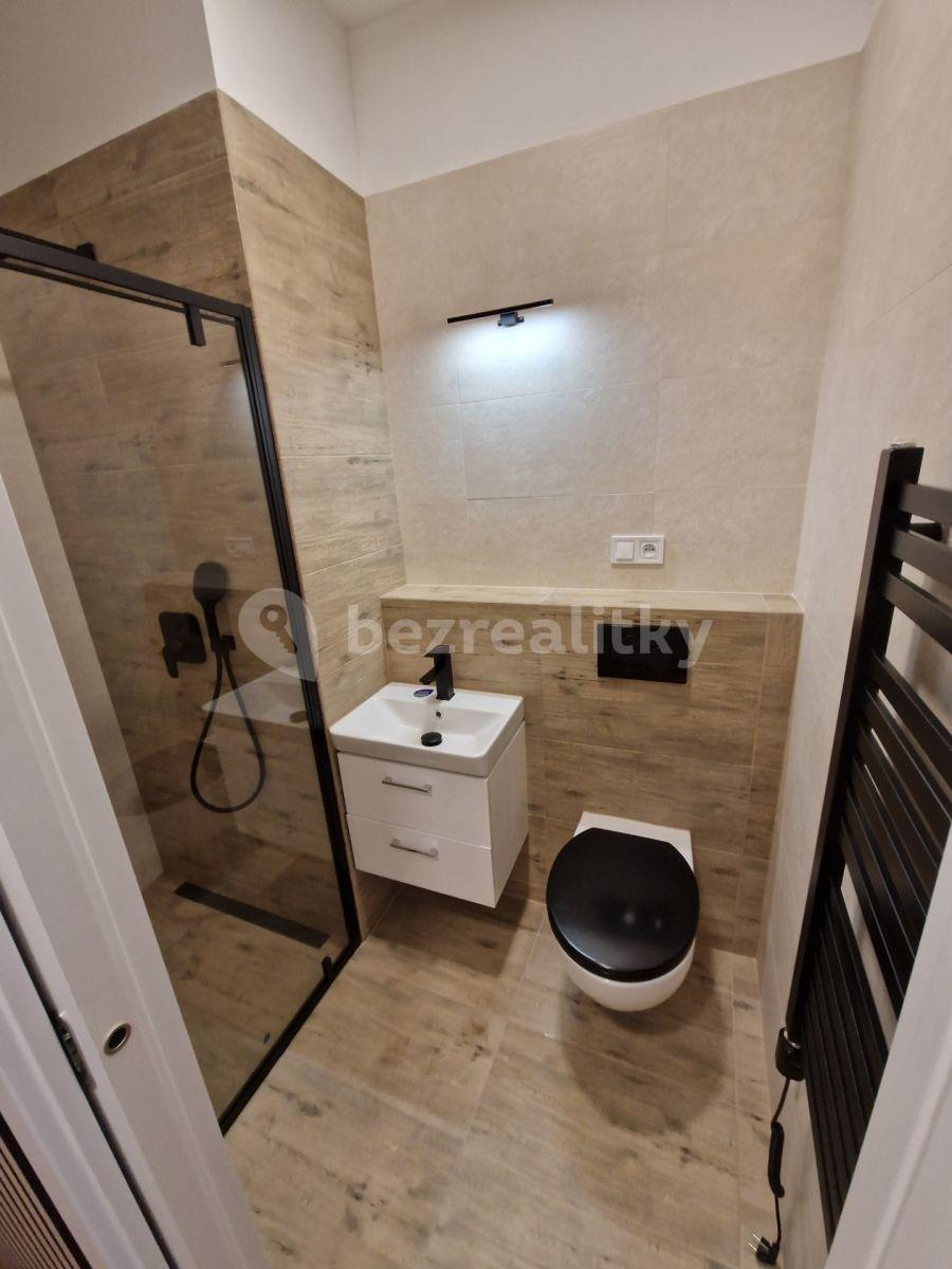 Studio flat to rent, 16 m², Ztracená, Přerov, Olomoucký Region