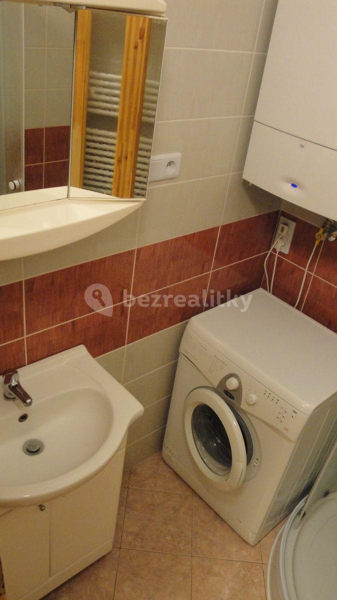 1 bedroom with open-plan kitchen flat to rent, 44 m², Letohradská, Prague, Prague