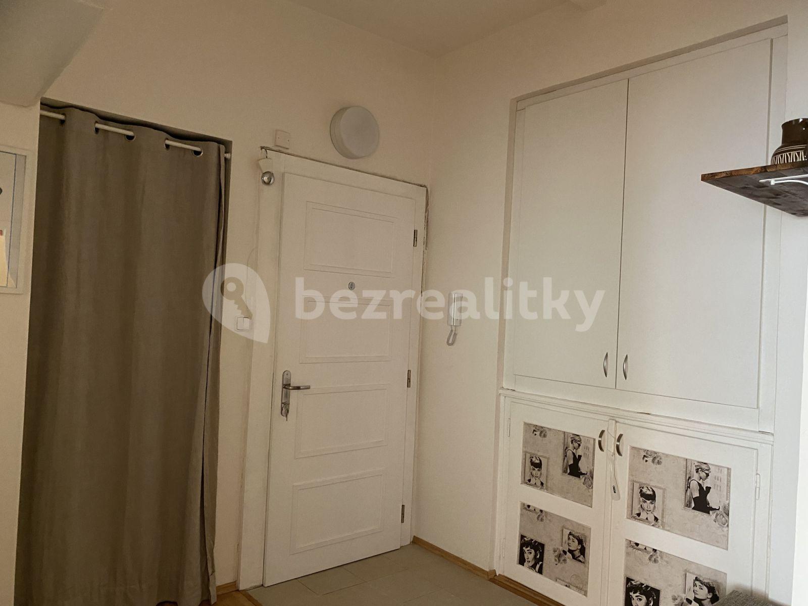 1 bedroom with open-plan kitchen flat to rent, 46 m², Rejskova, Prague, Prague