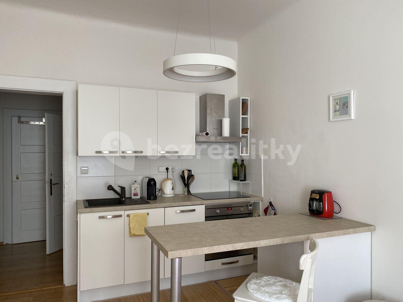 1 bedroom with open-plan kitchen flat to rent, 46 m², Rejskova, Prague, Prague