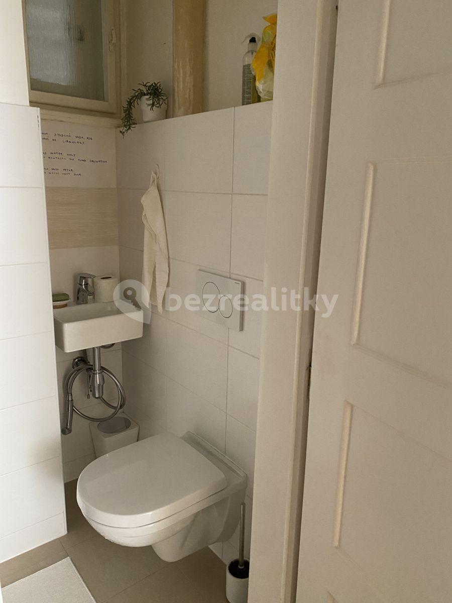 1 bedroom with open-plan kitchen flat to rent, 46 m², Rejskova, Prague, Prague