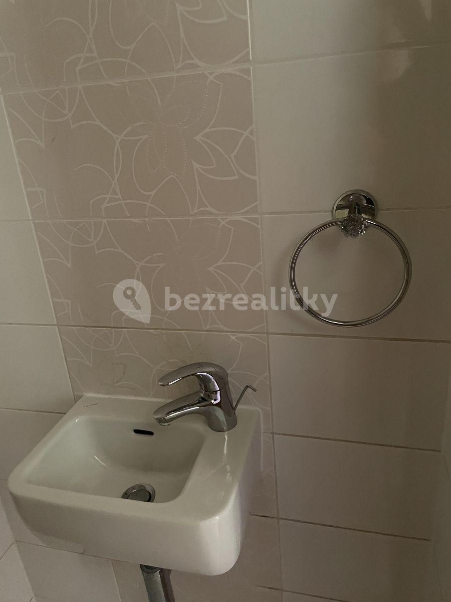 2 bedroom with open-plan kitchen flat to rent, 105 m², Březiněveská, Prague, Prague