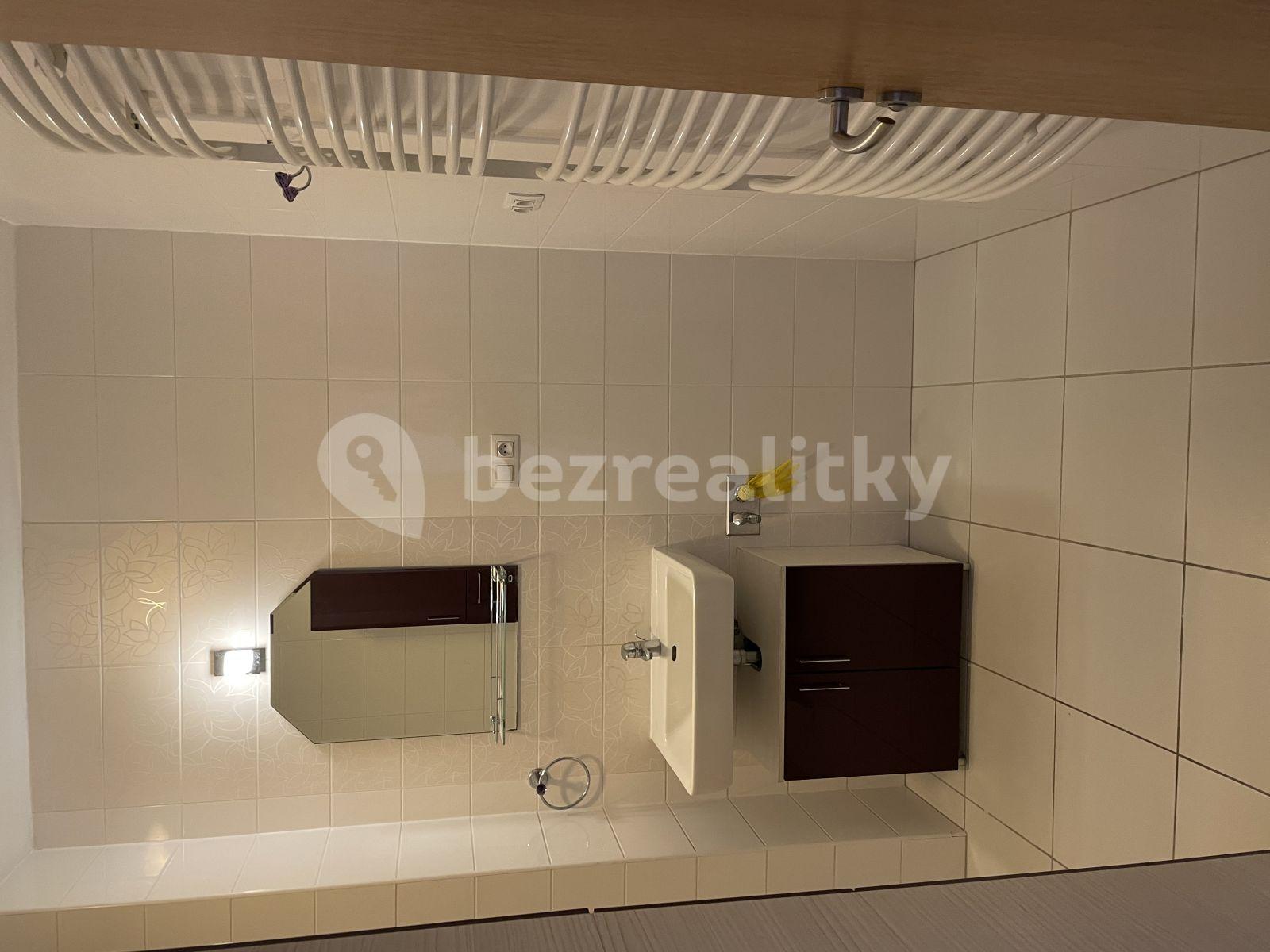 2 bedroom with open-plan kitchen flat to rent, 105 m², Březiněveská, Prague, Prague