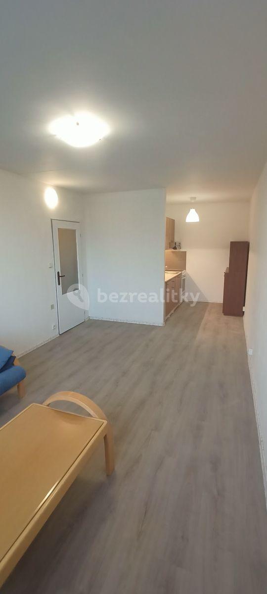 1 bedroom with open-plan kitchen flat to rent, 45 m², Letovská, Prague, Prague